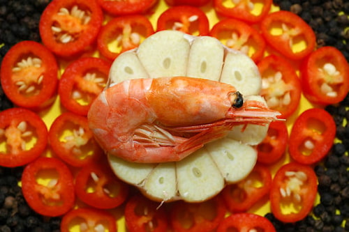 فروش میگو سرتیز